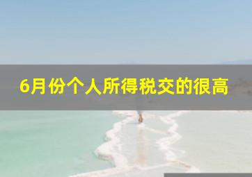 6月份个人所得税交的很高