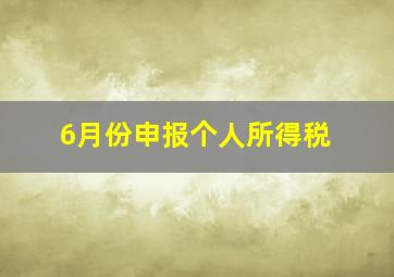 6月份申报个人所得税