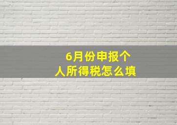 6月份申报个人所得税怎么填