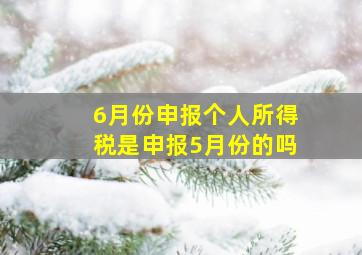 6月份申报个人所得税是申报5月份的吗