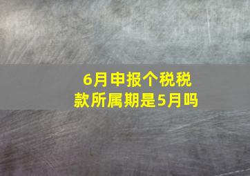 6月申报个税税款所属期是5月吗