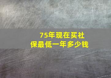 75年现在买社保最低一年多少钱