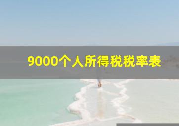 9000个人所得税税率表