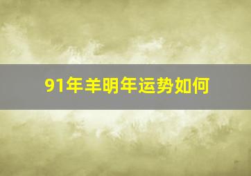 91年羊明年运势如何