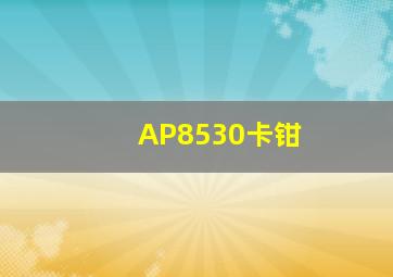 AP8530卡钳