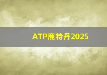 ATP鹿特丹2025