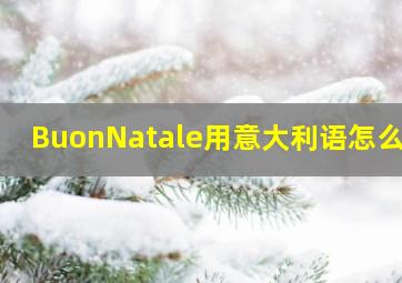 BuonNatale用意大利语怎么读