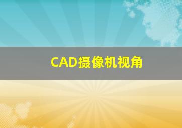 CAD摄像机视角