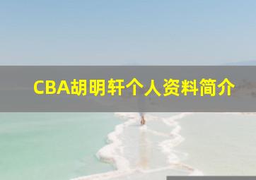 CBA胡明轩个人资料简介