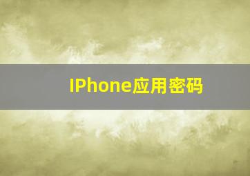 IPhone应用密码