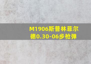 M1906斯普林菲尔德0.30-06步枪弹