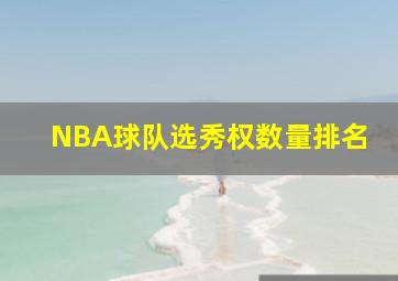 NBA球队选秀权数量排名