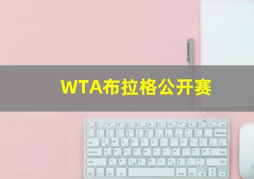 WTA布拉格公开赛