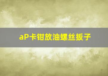 aP卡钳放油螺丝扳子