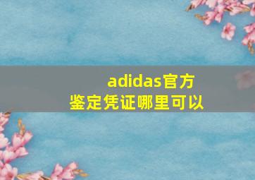 adidas官方鉴定凭证哪里可以