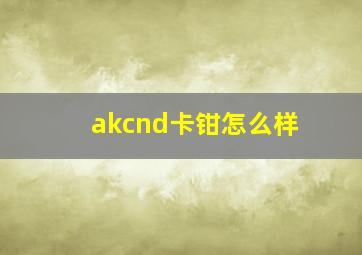 akcnd卡钳怎么样