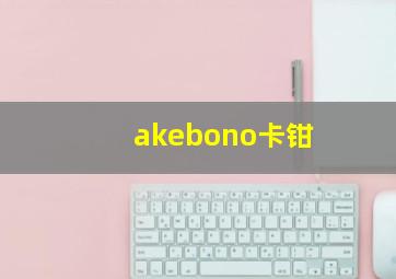 akebono卡钳