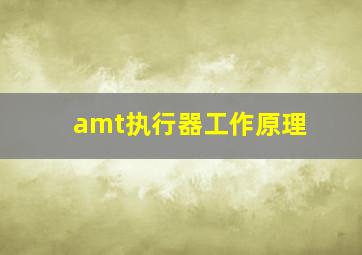 amt执行器工作原理