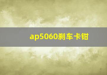 ap5060刹车卡钳