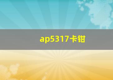 ap5317卡钳