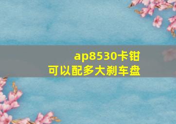 ap8530卡钳可以配多大刹车盘