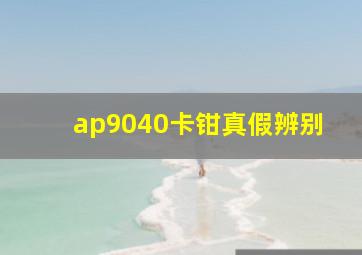 ap9040卡钳真假辨别