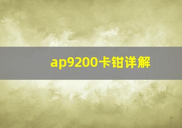 ap9200卡钳详解