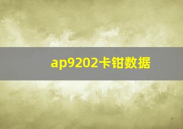 ap9202卡钳数据