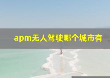 apm无人驾驶哪个城市有