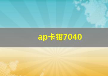 ap卡钳7040