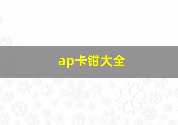 ap卡钳大全