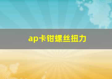 ap卡钳螺丝扭力