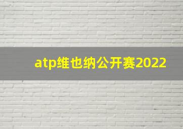 atp维也纳公开赛2022