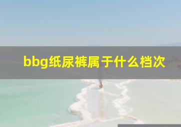 bbg纸尿裤属于什么档次