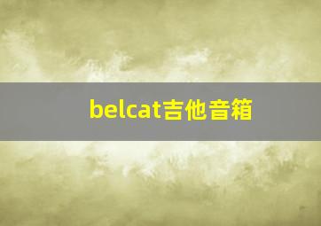 belcat吉他音箱