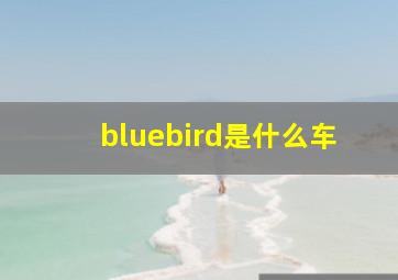 bluebird是什么车