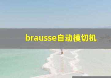 brausse自动模切机