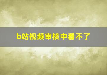 b站视频审核中看不了