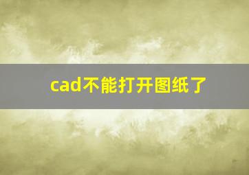 cad不能打开图纸了