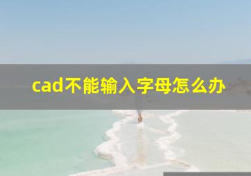 cad不能输入字母怎么办