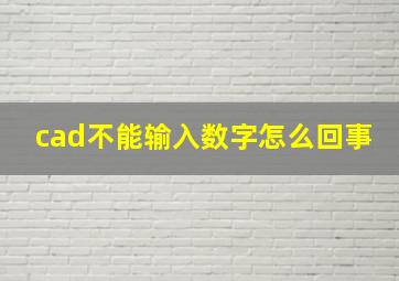 cad不能输入数字怎么回事