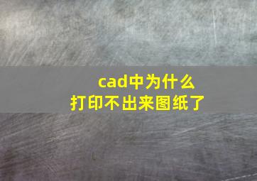 cad中为什么打印不出来图纸了