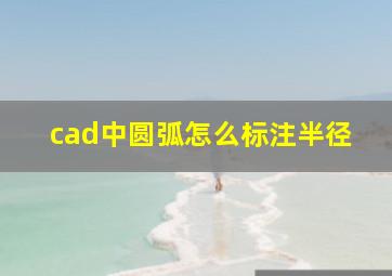 cad中圆弧怎么标注半径