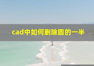 cad中如何删除圆的一半