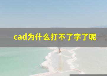 cad为什么打不了字了呢