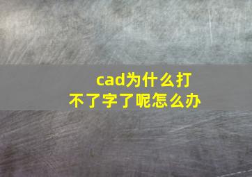 cad为什么打不了字了呢怎么办