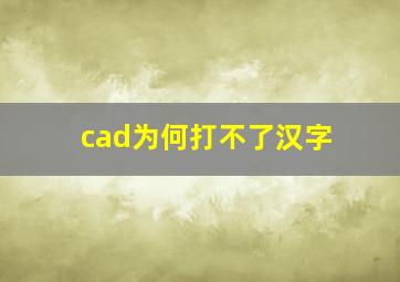 cad为何打不了汉字