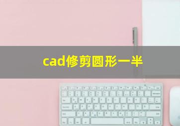 cad修剪圆形一半