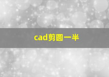 cad剪圆一半