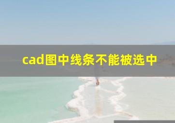 cad图中线条不能被选中